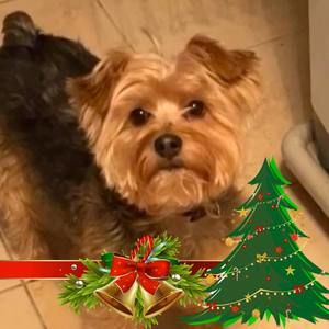 Meet your Posher, Gina